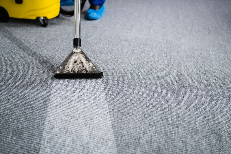 Professional Carpet Cleaning